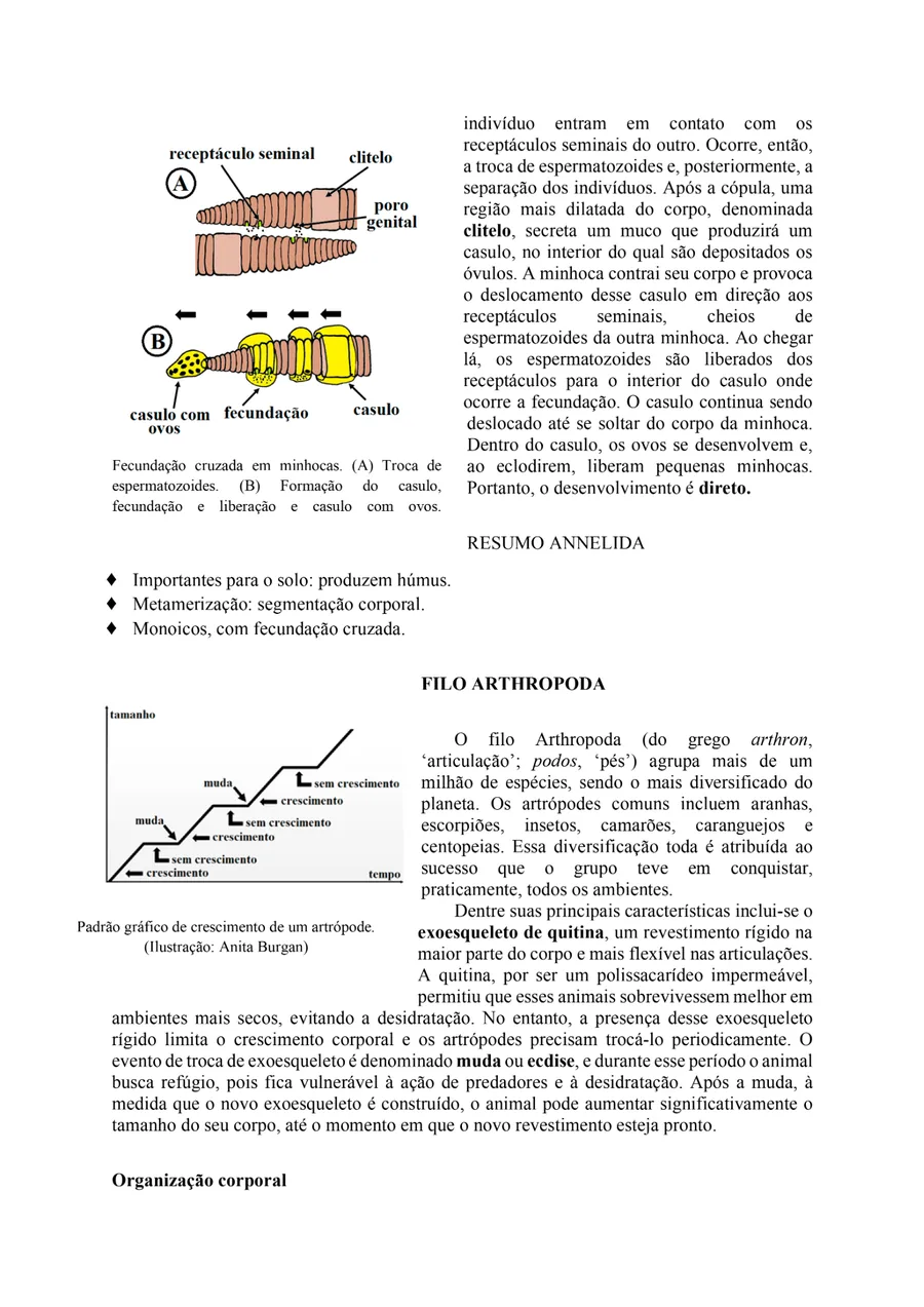 Página de Biologia com texto, ilustrações, gráfico e conteúdo didático para vestibular